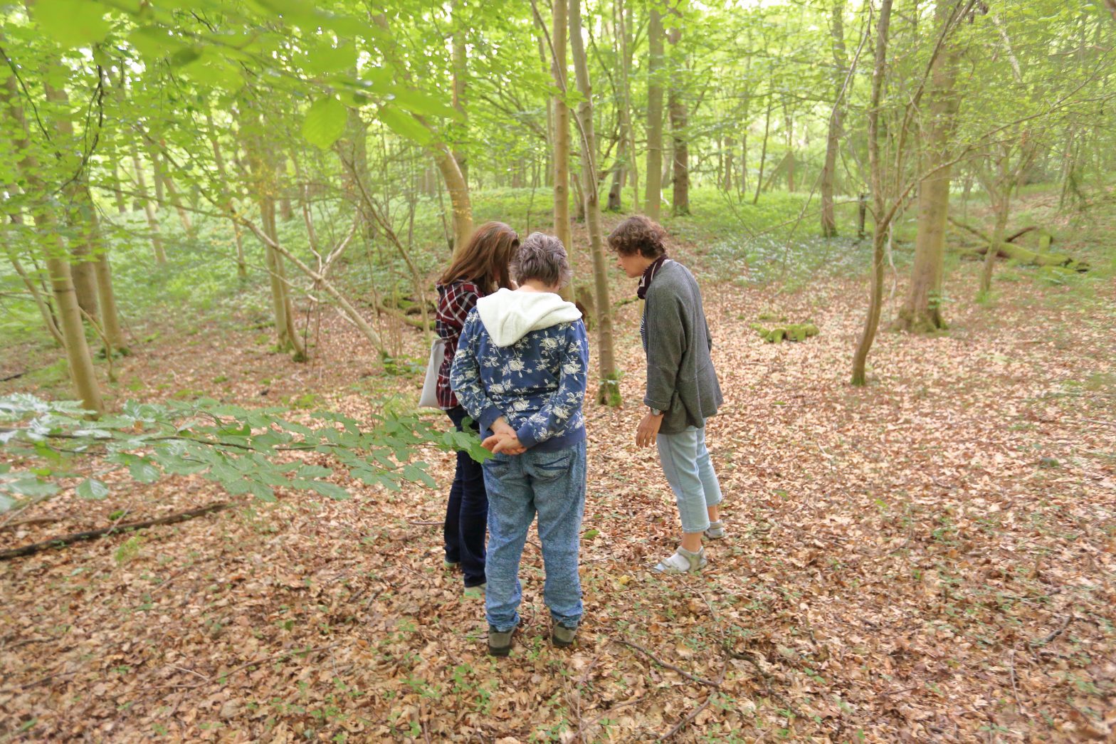 Three people stand in the middle of a forest