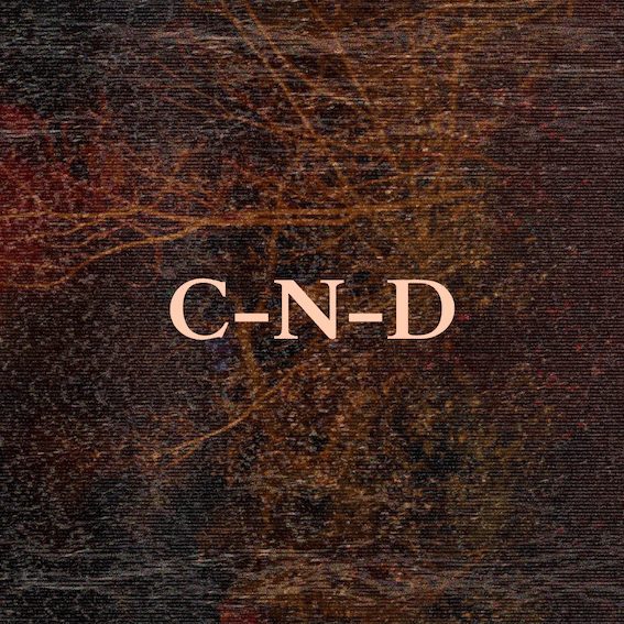 Text over an abstract image of woodlands reads: C-N-D