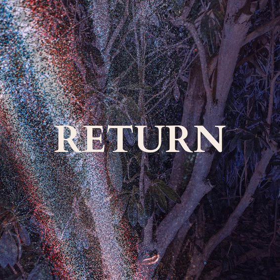 Text over an image of a tree reads: RETURN