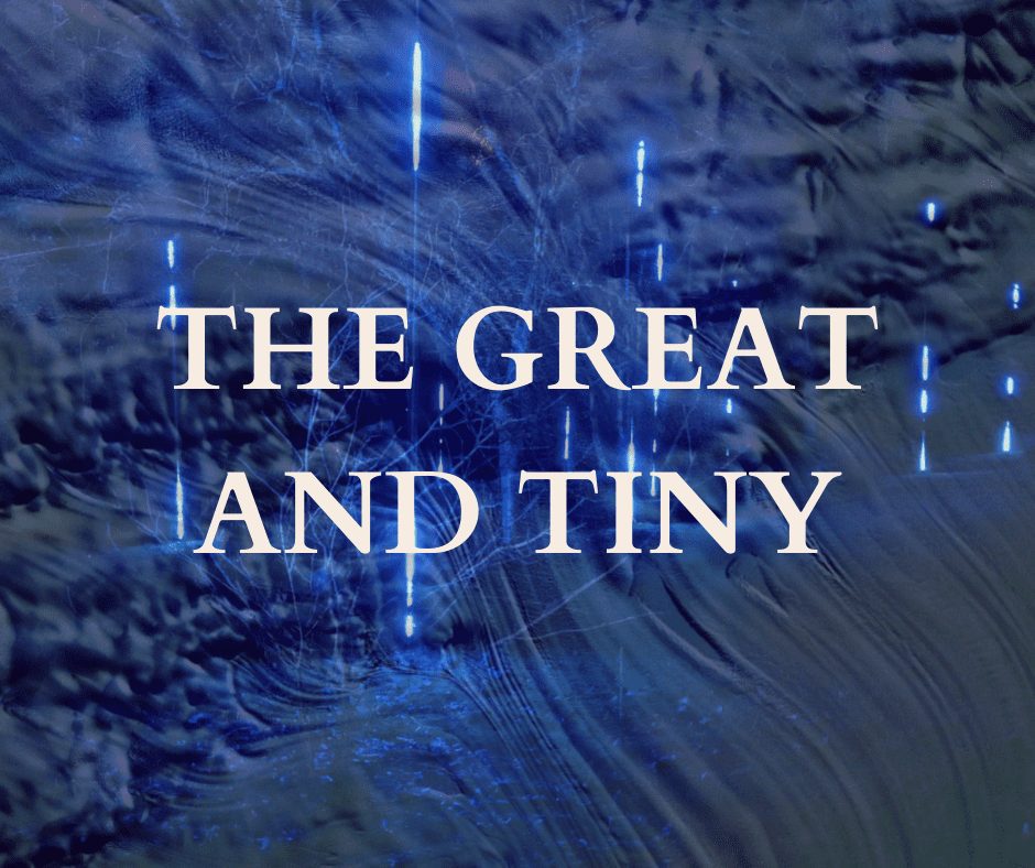 Text over dark blue with swirls and movement, with thin trees and vertical lines of light, reading: THE GREAT AND TINY.
