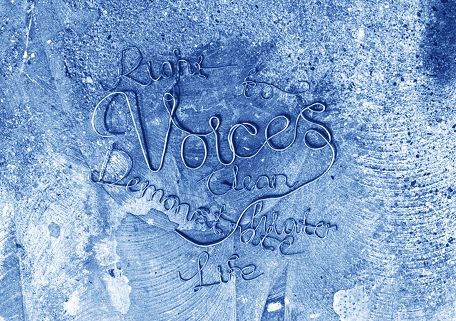 Words made of wire on a textured blue surface, with the central word reading: Voices