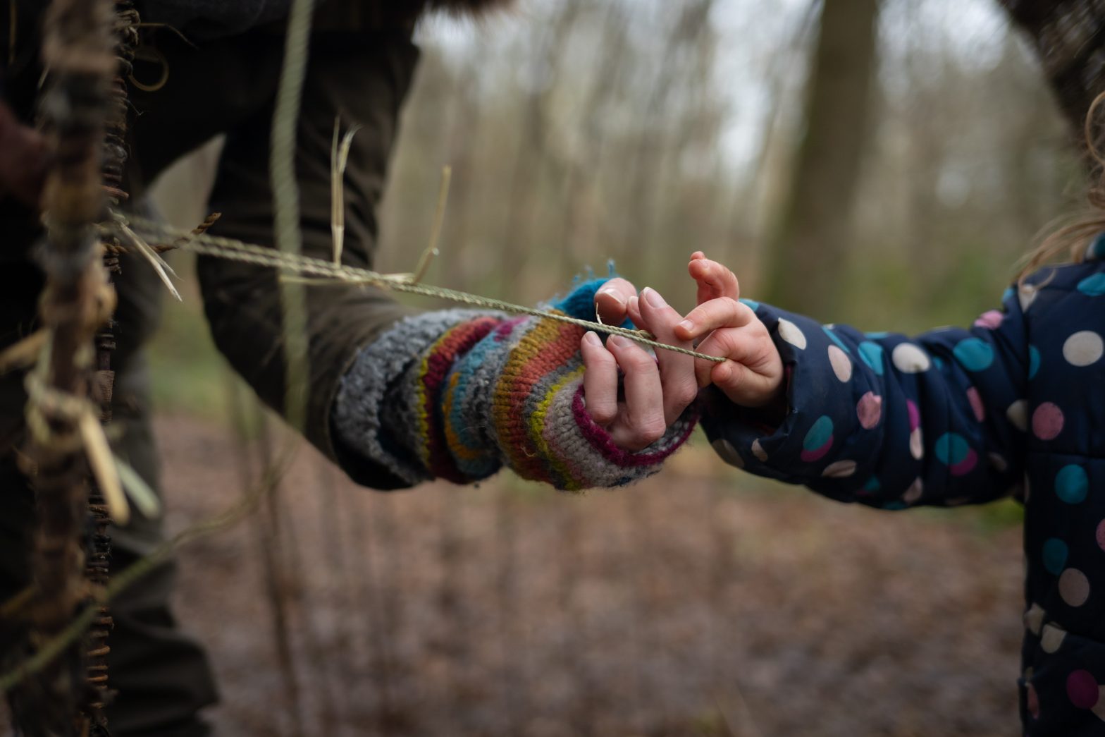 A woman and child's hands as they exchange a tree branch.
