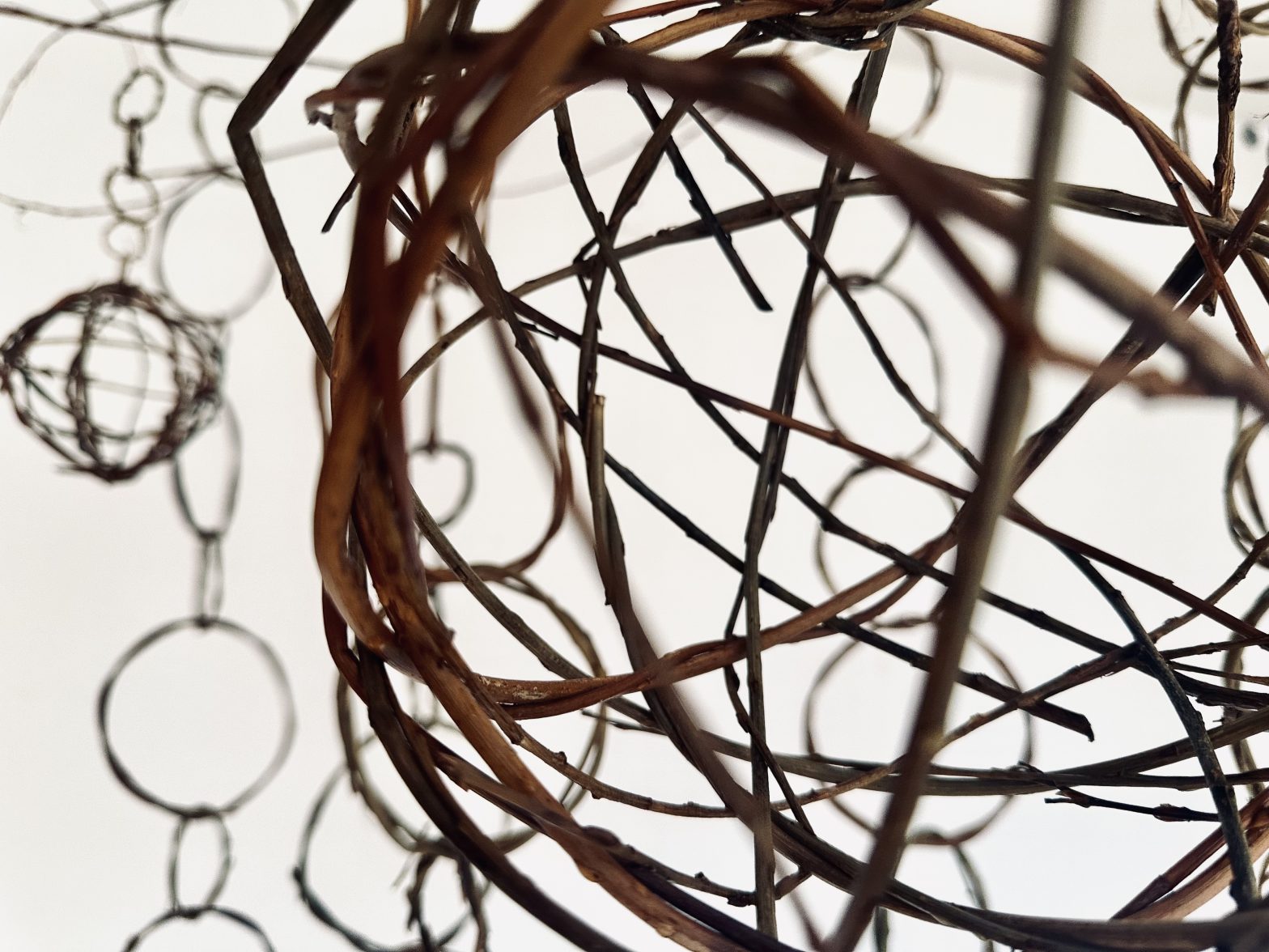 Circular sculptures chained together using twigs and fibres.